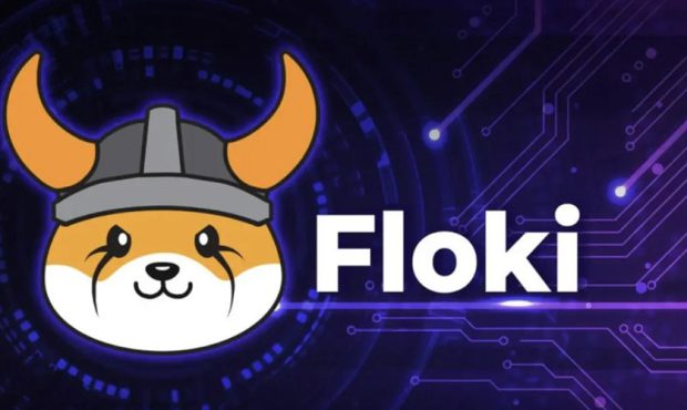 فلوکی هم سرویس نام خود را معرفی کرد! رالی قیمت FLOKI در راه است؟